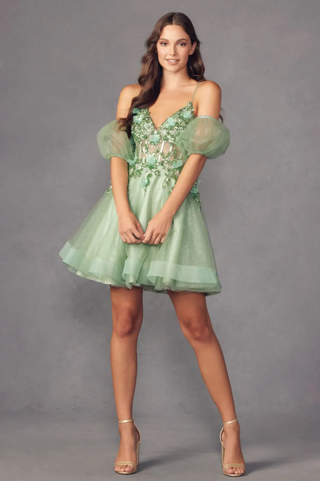 Romantic A-Line V-Neck Puff-Sleeve Tulle Short Lace-Up Homecoming Dress