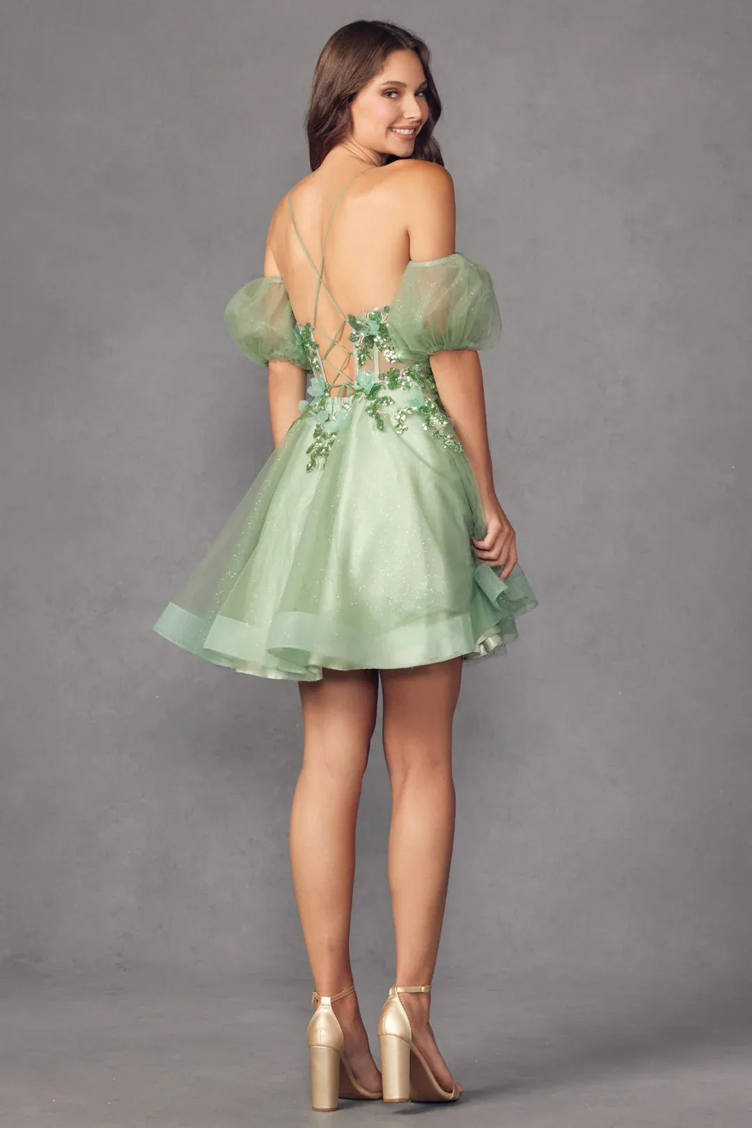 Romantic A-Line V-Neck Puff-Sleeve Tulle Short Lace-Up Homecoming Dress