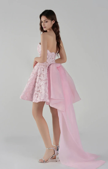 Romantic ALine Sweetheart Tulle Short Train Lace Homecoming Dress