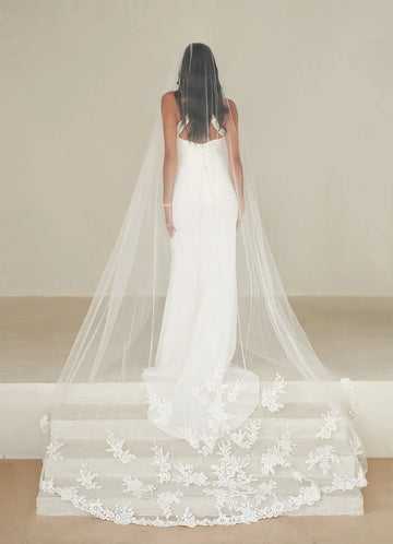 Ethereal Sheer Tulle Floral Lace Trim Cathedral Bridal Wedding Veil