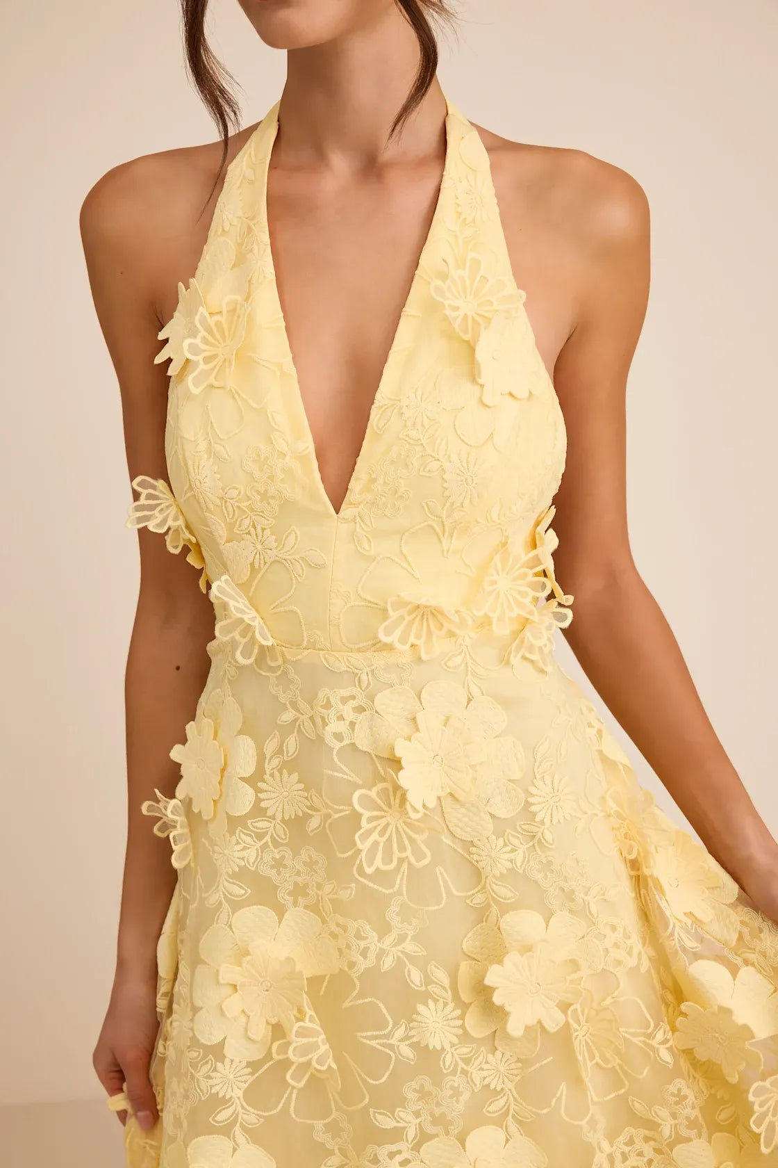 Romantic A-Line Halter V-Neck Sleeveless Lace 3D Floral Applique Maxi Wedding Guest Dress