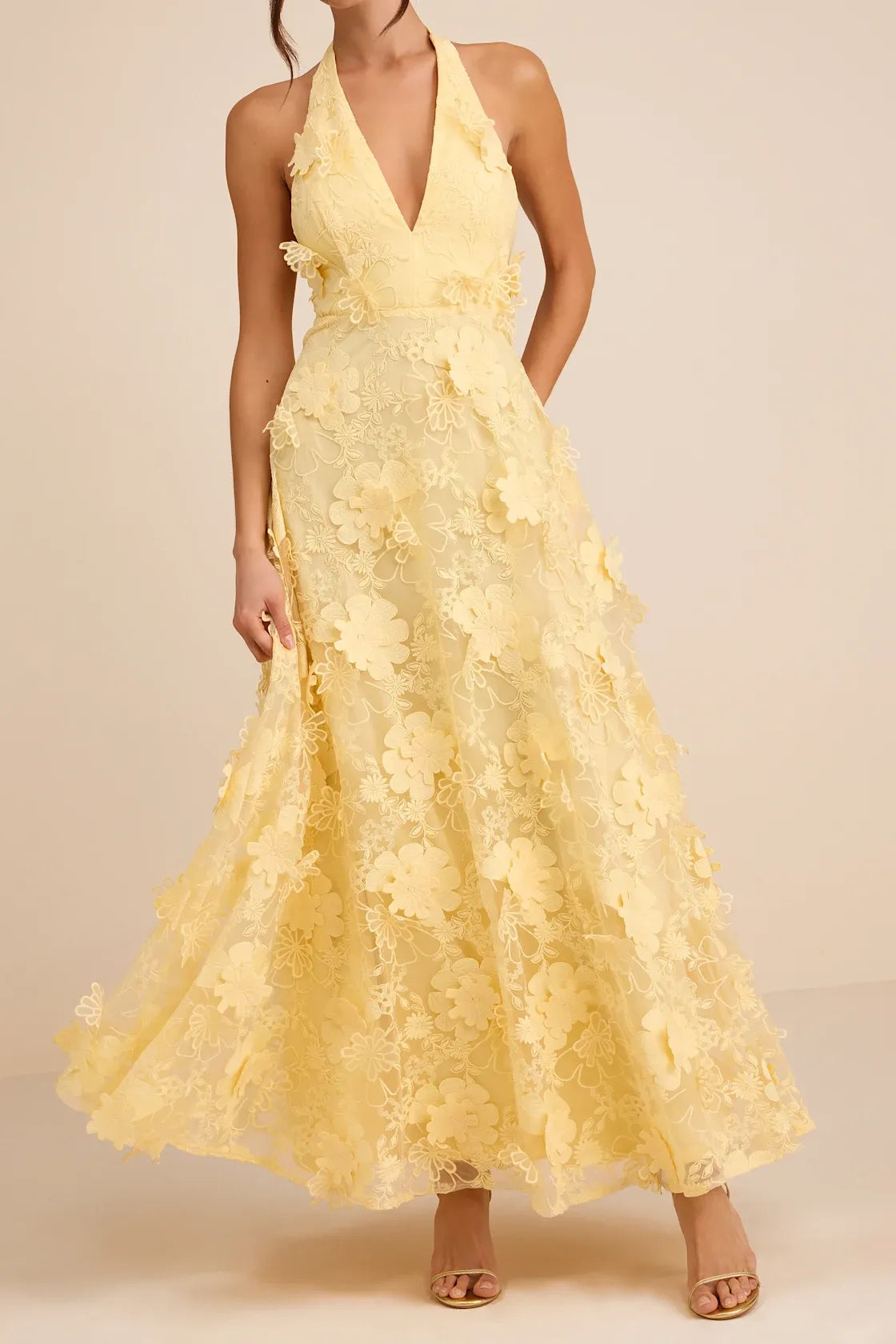 Romantic A-Line Halter V-Neck Sleeveless Lace 3D Floral Applique Maxi Wedding Guest Dress