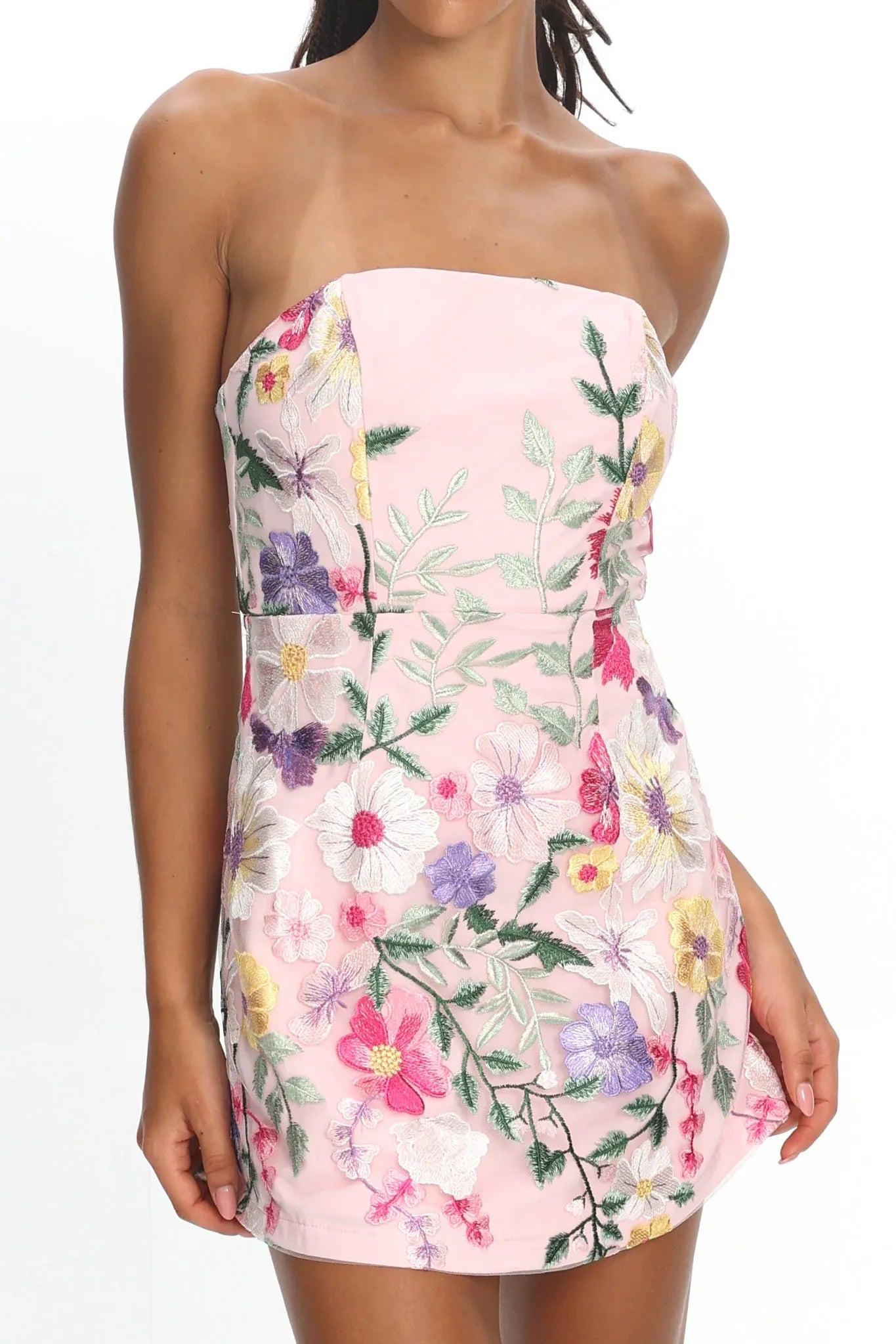 Intricate Embroidered A-Line Strapless Tube Sleeveless Mesh Mini Floral Motif Party Dress