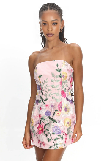 Intricate Embroidered A-Line Strapless Tube Sleeveless Mesh Mini Floral Motif Party Dress