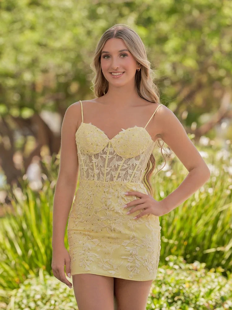 Glamorous Sheath Sweetheart Neck Lace Corset Short Laceup Homecoming Dress